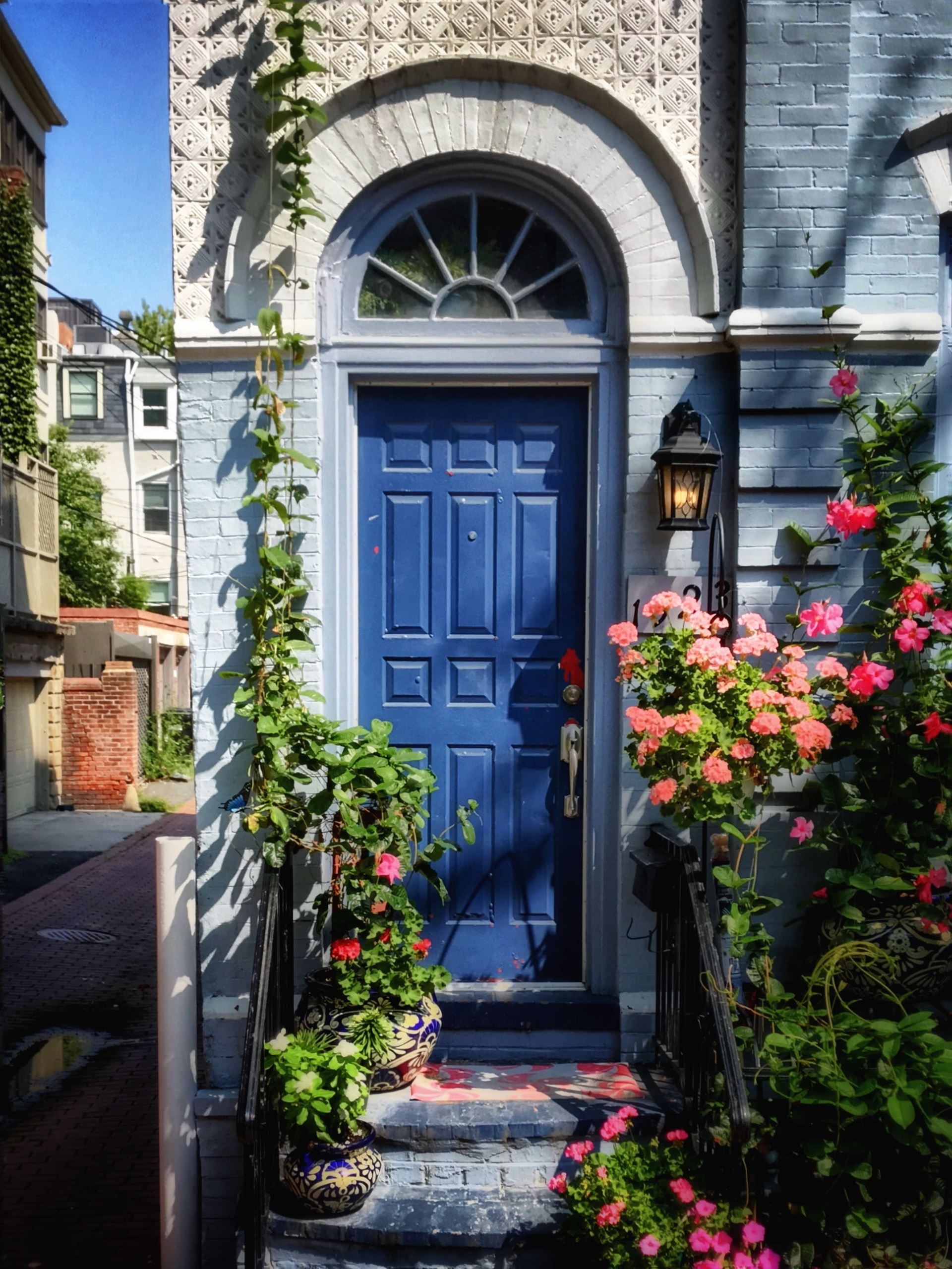 a blue door the entrance to a house with pink shades of flowers